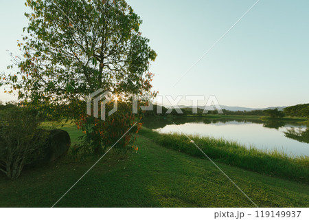 Singha Park in Chiang Rai, Thailand 119149937