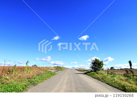 気持ちのいい北海道の風景 119150268