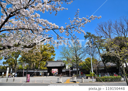 《愛知県》名古屋市 徳川園黒門の桜 《愛知県》名古屋市 徳川園黒門の桜 119150448