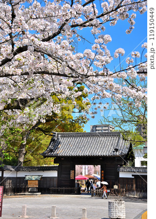 《愛知県》名古屋市　徳川園黒門の桜 119150449