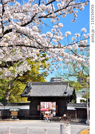 《愛知県》名古屋市　徳川園黒門の桜 119150450