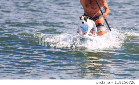 Man kneeling on a paddleboard surfing with his dog on the front 119150726