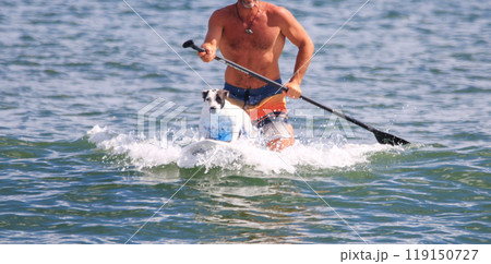 Man kneeling on a sufboard behind his dog catching a wave 119150727
