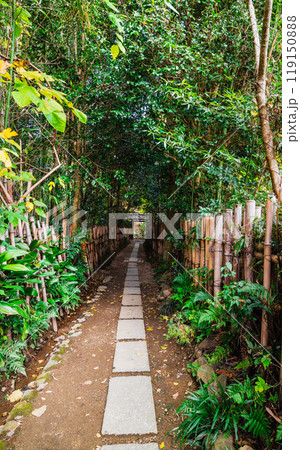 秋の京都　厭離庵 119150888