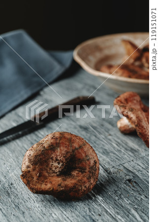 rovellons, highly appreciated in Catalonia, Spain rovellons, highly appreciated in Catalonia, Spain 119151071
