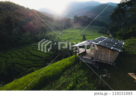 Aerial view Rice fields and houses on the hill 119151093