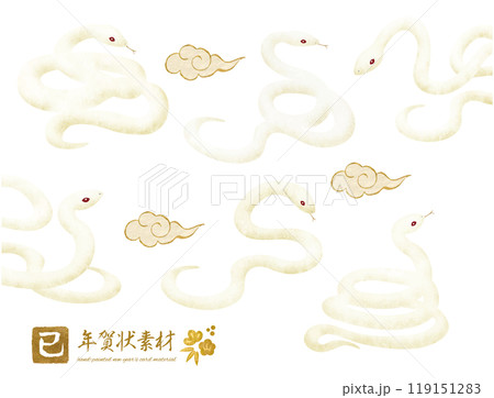 手書きタッチの白蛇の年賀状素材セット 手書きタッチの白蛇の年賀状素材セット 119151283