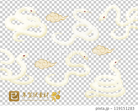 手書きタッチの白蛇の年賀状素材セット 手書きタッチの白蛇の年賀状素材セット 119151283