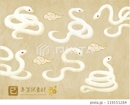 手書きタッチの白蛇の年賀状素材セット 手書きタッチの白蛇の年賀状素材セット 119151284