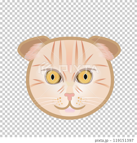 蘇格蘭折耳貓臉圖 119151397