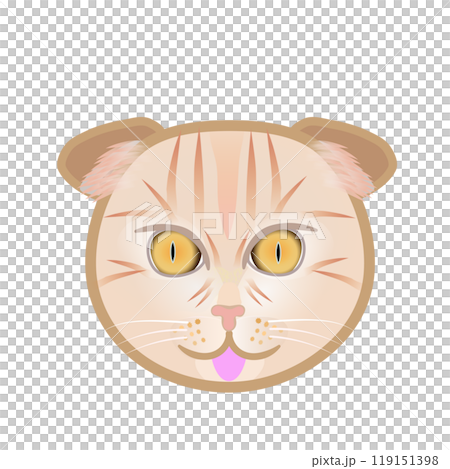 蘇格蘭折耳貓臉圖 蘇格蘭折耳貓臉圖 119151398