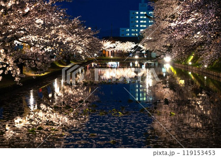 弘前城の夜桜/青森県 弘前城の夜桜/青森県 119153453