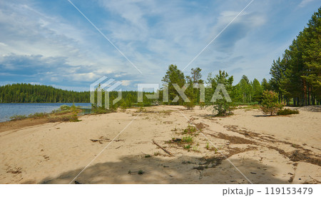 Sandy Shore Lake Haikola 119153479
