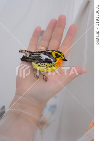 tulle fabric embroidery of flowers and birds on a veil On a thin fabric a woman embroiders straightening beautiful handwork on a mannequin wedding dress with bright decorations 119153631