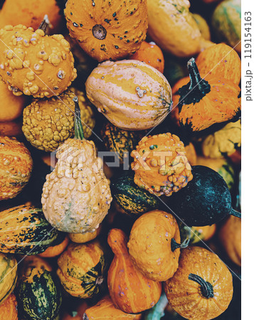 Autumn background with decorative pumpkins in orange tones, top view.  119154163