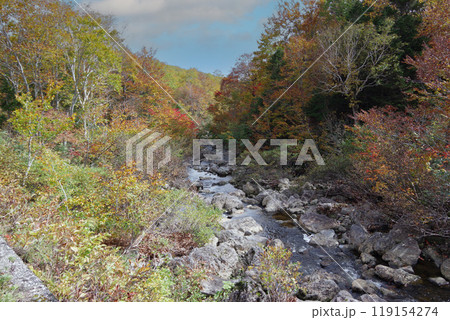 紅葉と渓流 紅葉と渓流 119154274