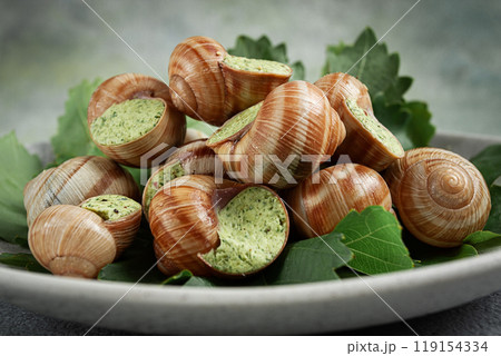 grape snails , stuffed in burgundy, french cuisine, grape snails , stuffed in burgundy, french cuisine, 119154334