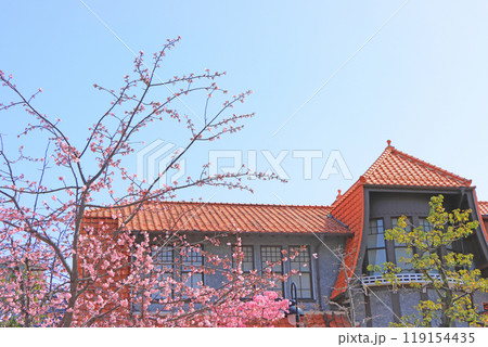 愛知県名古屋市、文化のみち二葉館と桜の風景 119154435