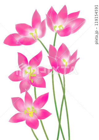 コルチカムの花のカード11 コルチカムの花のカード11 119154591