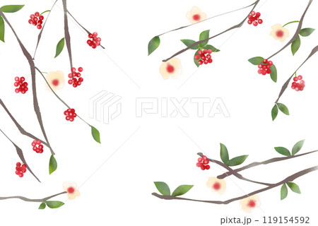 真葛(サネカズラ)の花と実のカード 真葛(サネカズラ)の花と実のカード 119154592