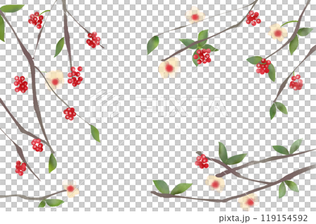 真葛(サネカズラ)の花と実のカード 真葛(サネカズラ)の花と実のカード 119154592