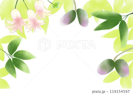 郁子（ムベ）のカード5 119154597