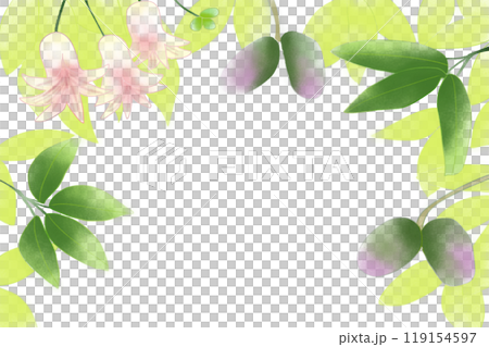 郁子（ムベ）のカード5 119154597