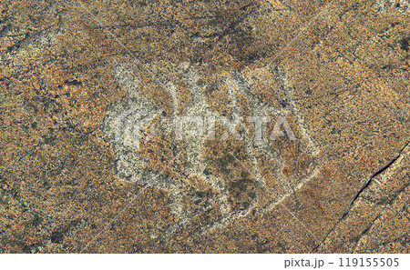Petroglyphs in Karelia, Belomorsk district, Russia. 119155505