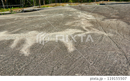 Petroglyphs in Karelia, Belomorsk district, Russia. Petroglyphs in Karelia, Belomorsk district, Russia. 119155507