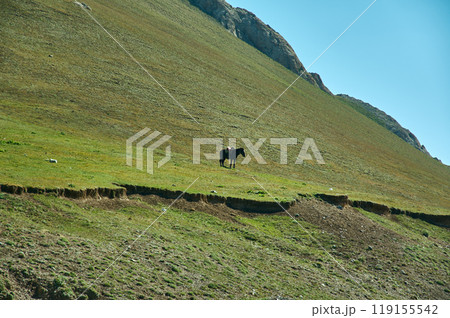 Taldyk Pass 119155542