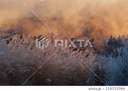 冬山風景（茶臼山　愛知県 豊根村）  119155564