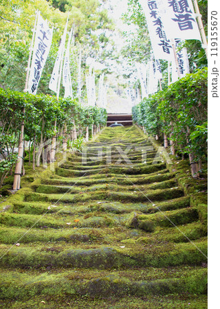 鎌倉 杉本寺の苔階段 鎌倉 杉本寺の苔階段 119155670
