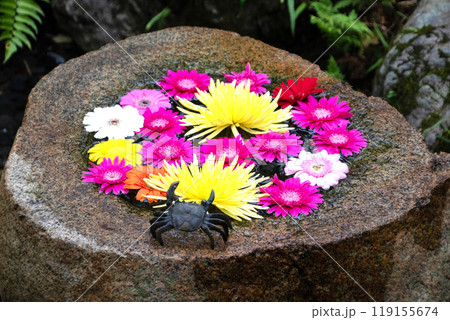 鎌倉 　一条恵観山荘の花手水 119155674