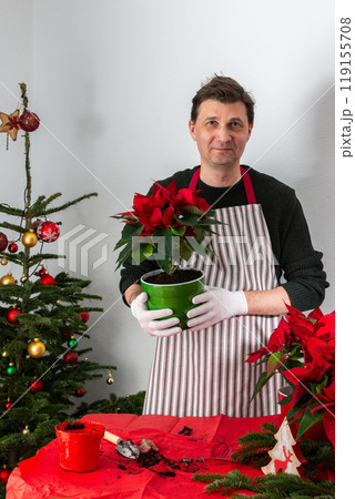 A man transplants Poinsettia flowers into a new pot 119155708