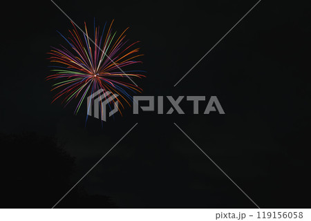 天竜川河川敷から見た浜松市の中野町煙火大会(静岡県) 119156058