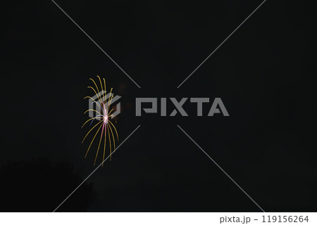 天竜川河川敷から見た浜松市の中野町煙火大会(静岡県) 119156264