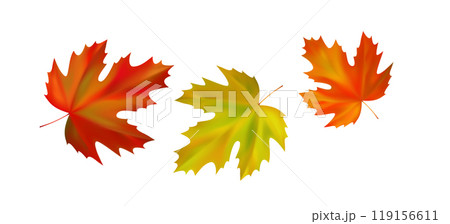 Composition of realistic vibrant maple autumn leaves. Yellow, orange, red leaves swirl in the wind. Vector illustration 119156611