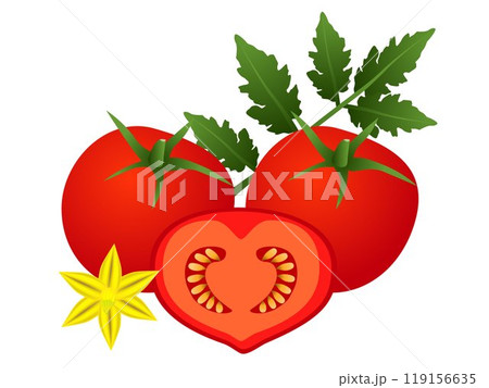 Whole tomatoes and a half, flower and leaves, isolated on a white background. Whole tomatoes and a half, flower and leaves, isolated on a white background. 119156635