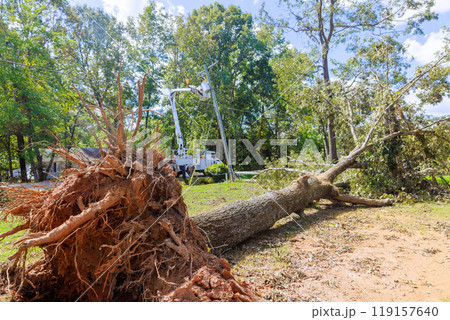 An emergency crew is working to restore power following severe damage caused by violent hurricane 119157640