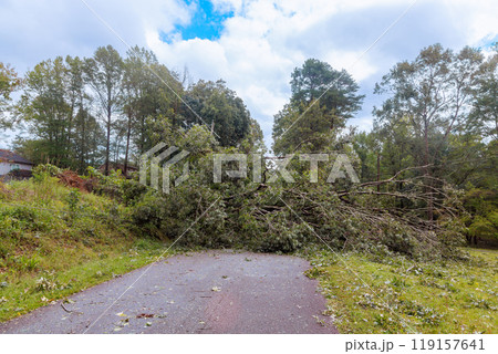 Road was damaged by trees uprooted by strong winds during storm hurricane 119157641