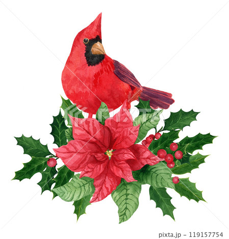 Composition with holly, Northern cardinal and poinsettia, watercolor Christmas bouquet. Hand-painted watercolor element for invitations, greeting card 119157754