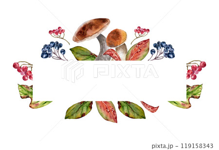Mushrooms orange caps and red autumn leaves in watercolor border isolated. Rowan red, viburnum berries, black chokeberry on frame painted. Fall colorful invitation with wild forest plants hand drawn. 119158343