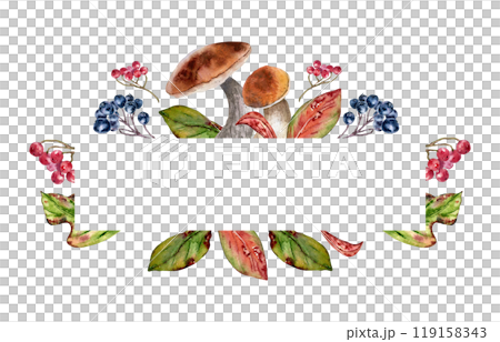 Mushrooms orange caps and red autumn leaves in watercolor border isolated. Rowan red, viburnum berries, black chokeberry on frame painted. Fall colorful invitation with wild forest plants hand drawn. 119158343
