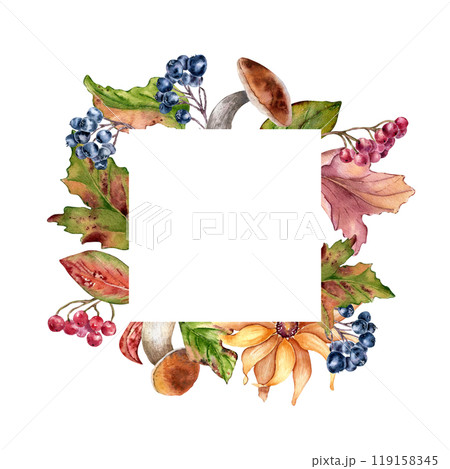 Frame of fall plants mushrooms, yellow flower and rowan berries in watercolor isolated. Daisy and black chokeberry painted. Autumn border with maple leaves and botanical elements hand drawn. 119158345