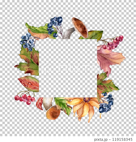 Frame of fall plants mushrooms, yellow flower and rowan berries in watercolor isolated. Daisy and black chokeberry painted. Autumn border with maple leaves and botanical elements hand drawn. 119158345