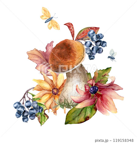 Mushroom with brown orange cap and black chokeberry in watercolor isolated. Forest composition of coneflowers, daisy and wild plants painted. Autumn illustration with flowers and leaves hand drawn. 119158348