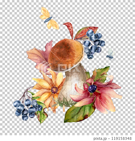 Mushroom with brown orange cap and black chokeberry in watercolor isolated. Forest composition of coneflowers, daisy and wild plants painted. Autumn illustration with flowers and leaves hand drawn. 119158348