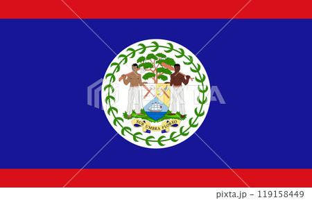 The official national flag of Belize. Vector illustration 119158449