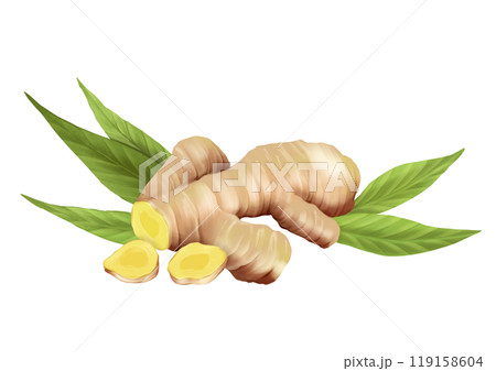 Ginger food illustration on white background Ginger food illustration on white background 119158604