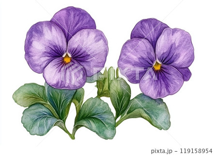 Whimsical Watercolor Pansy Flowers on White Background for Children's Book Illustration Generative AI 119158954